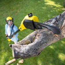 Malverne, NY Tree Removal and Landscaping Services Company